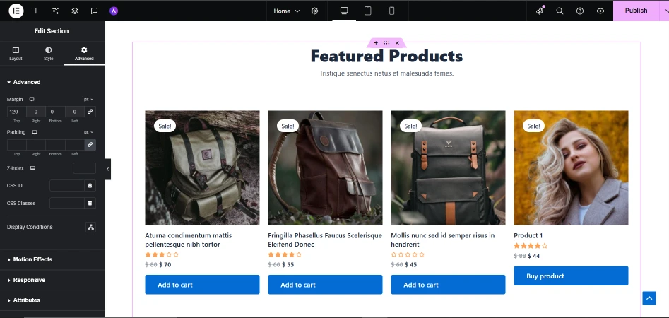 Advanced Elementor Settings