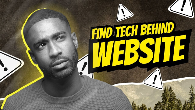 website detector tool